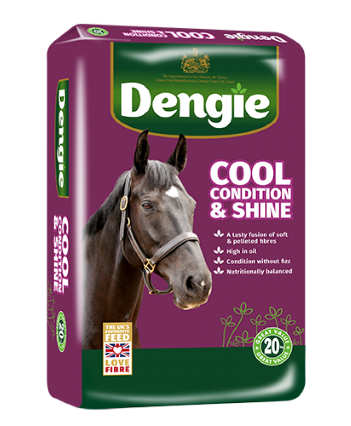 Dengie Cool, Condition and Shine